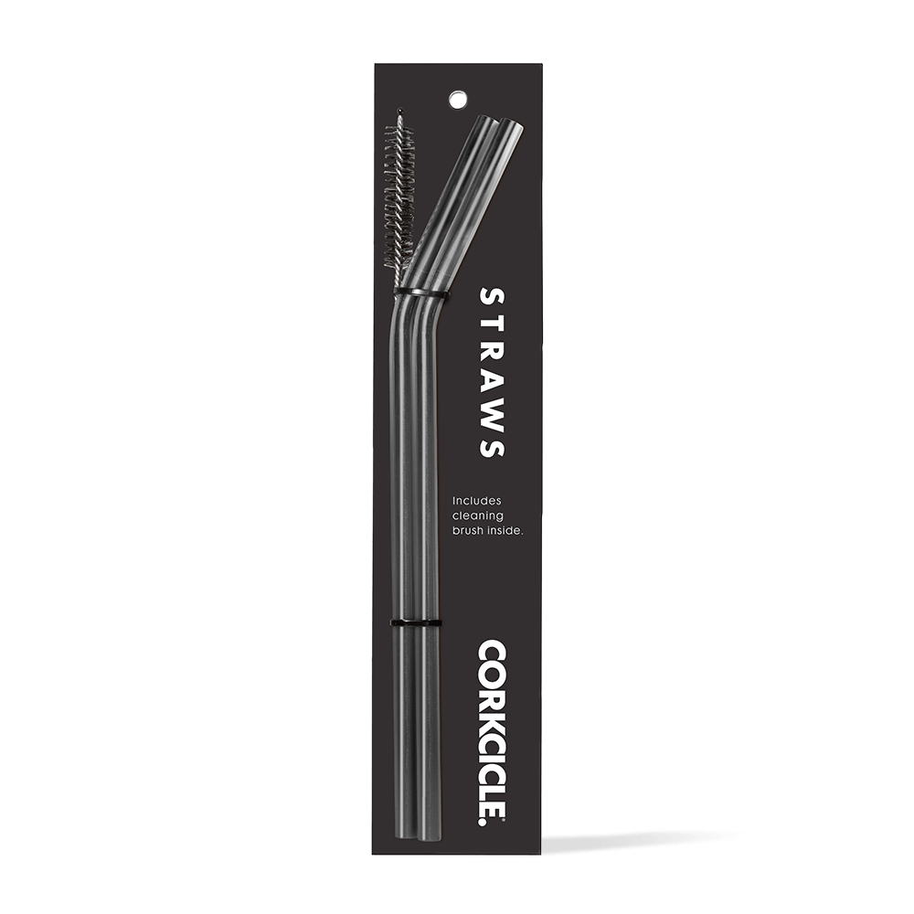 tumbler-straw-2-pack-h9 gunmetal.png